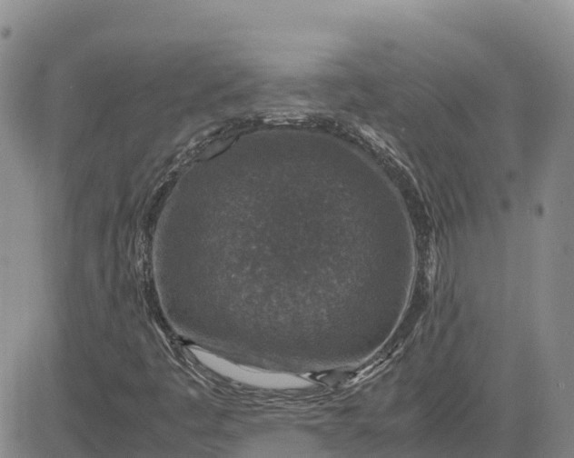 X0000083581445200702231643