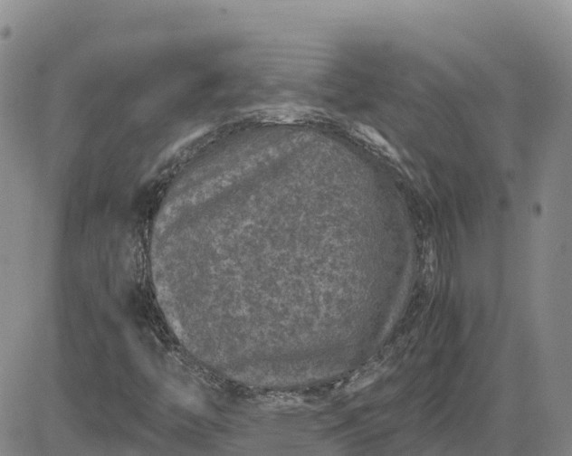 X0000083581446200702231643