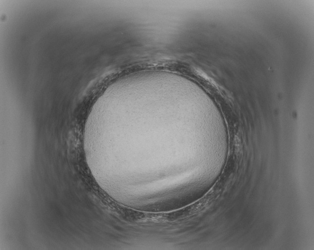 X0000083581447200702231643