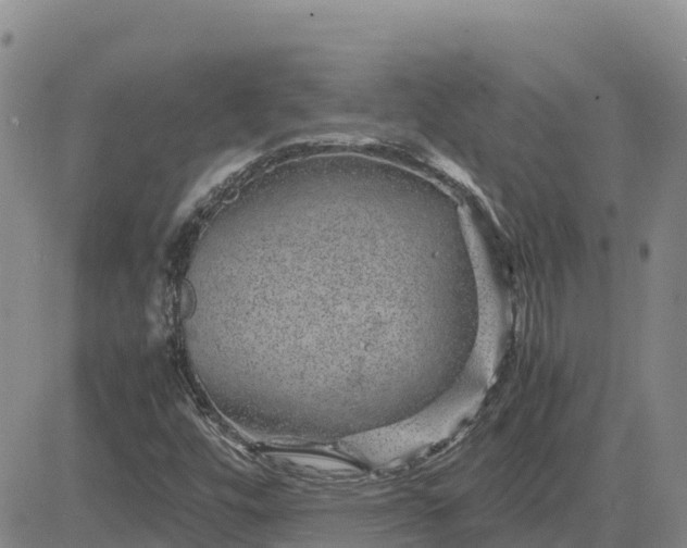 X0000083581448200702231643