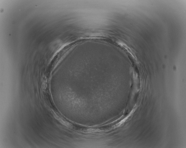 X0000083581449200702231643