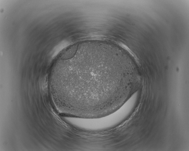 X0000083581450200702231643