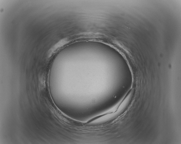 X0000083581451200702231643