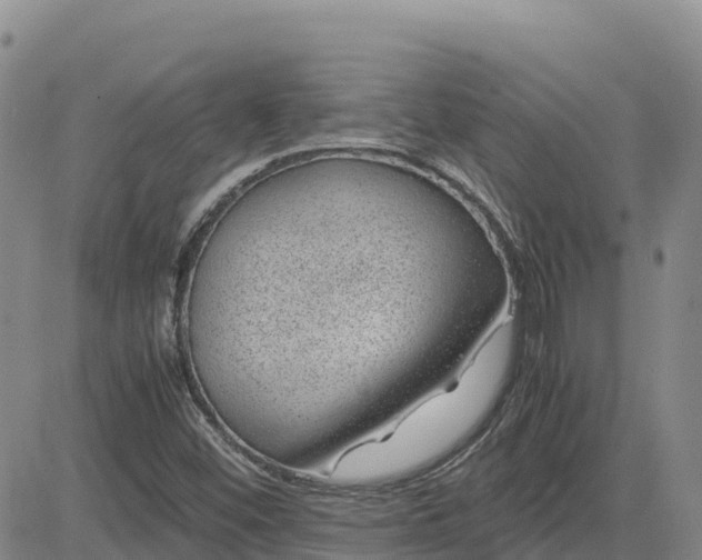 X0000083581452200702231643