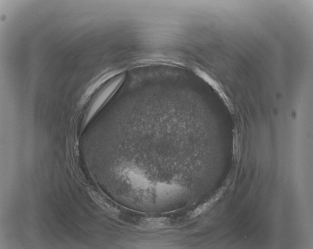 X0000083581453200702231643