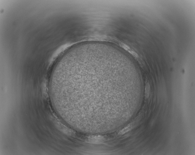 X0000083581454200702231643