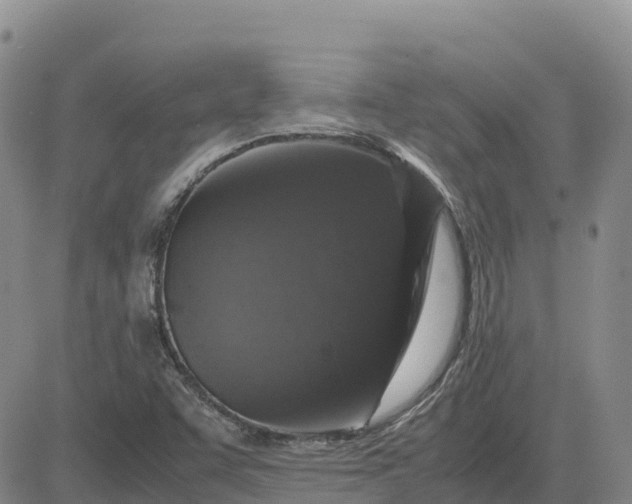 X0000083581455200702231643