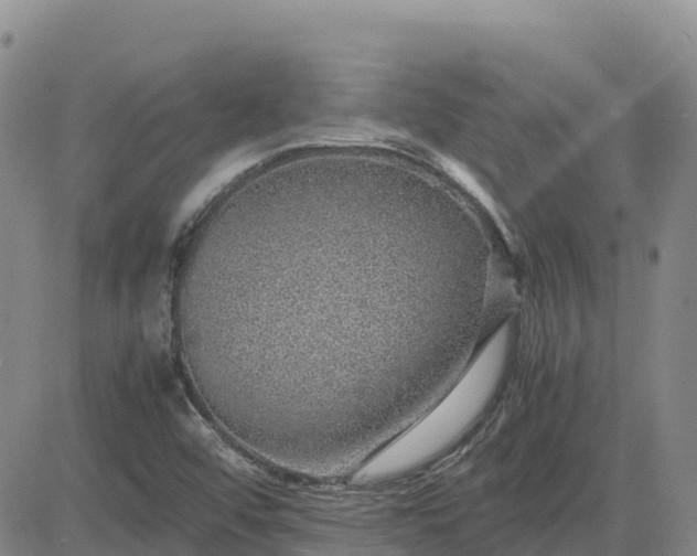 X0000083581456200702231643