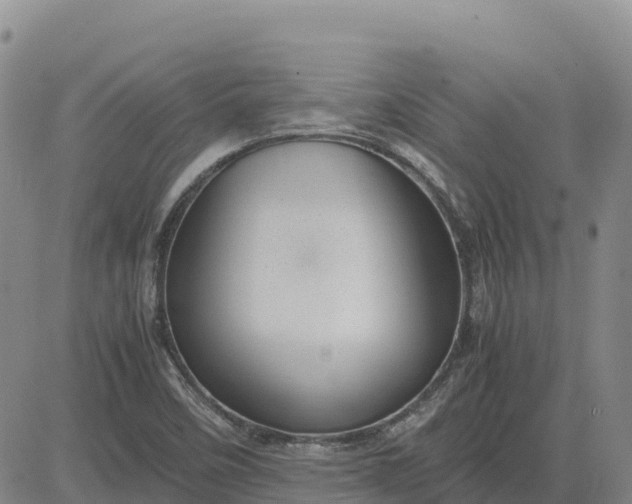 X0000083581458200702231643