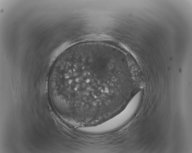 X0000083581459200702231643