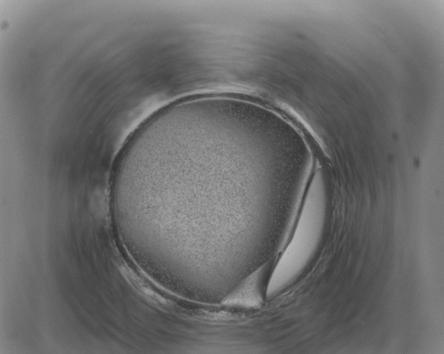 X0000083581460200702231643