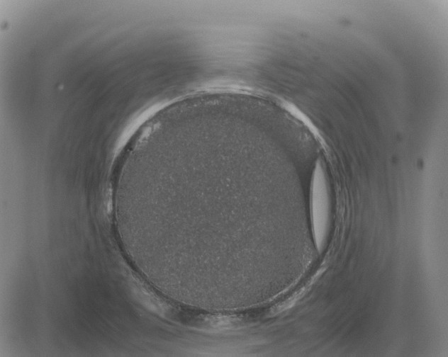 X0000083581461200702231643