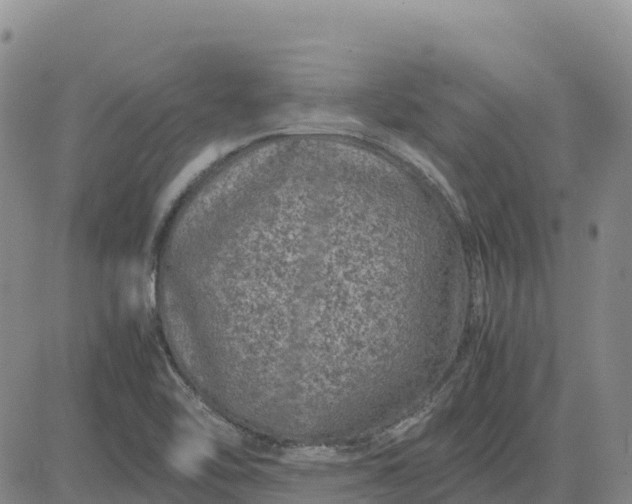 X0000083581462200702231643