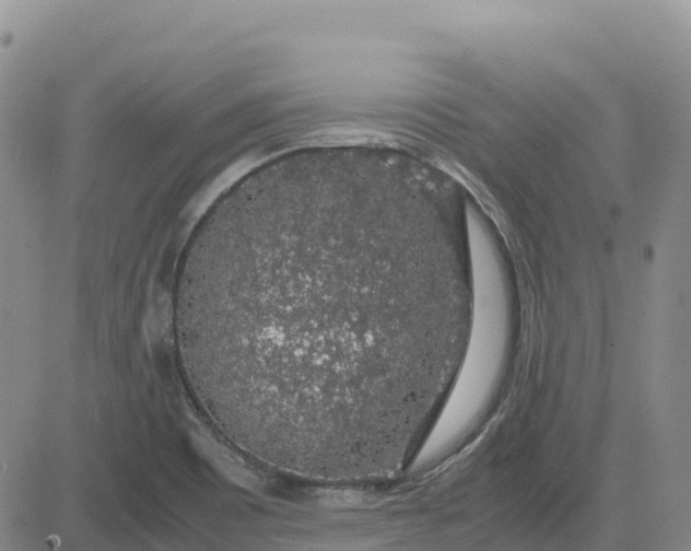 X0000083581465200702231643