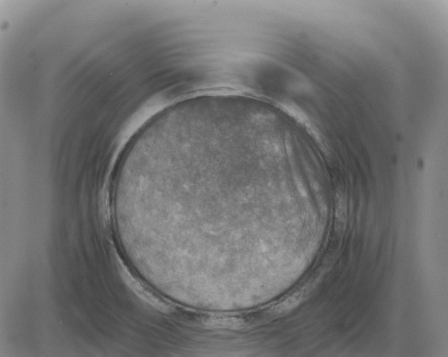 X0000083581466200702231643