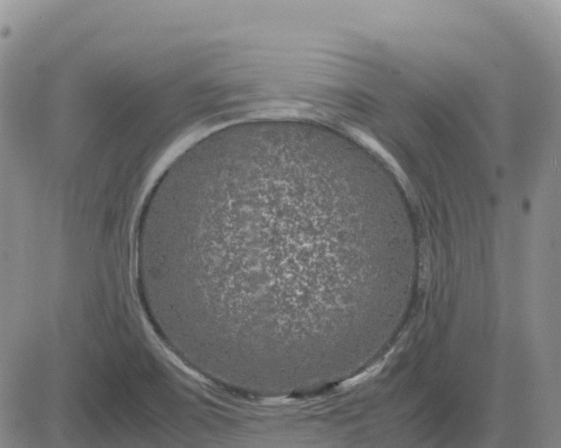 X0000083581467200702231643