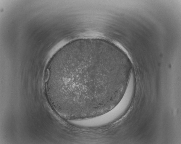 X0000083581469200702231643