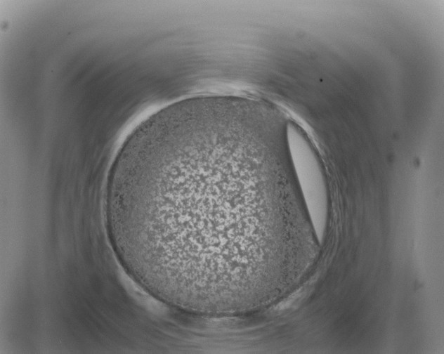 X0000083581471200702231643