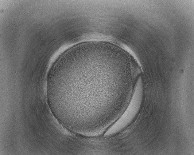 X0000083581472200702231643