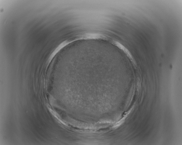 X0000083581473200702231643