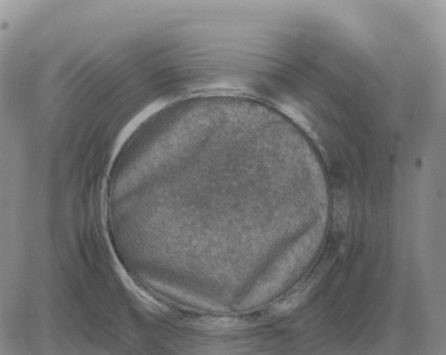 X0000083581474200702231642