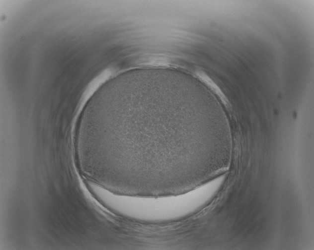 X0000083581475200702231642