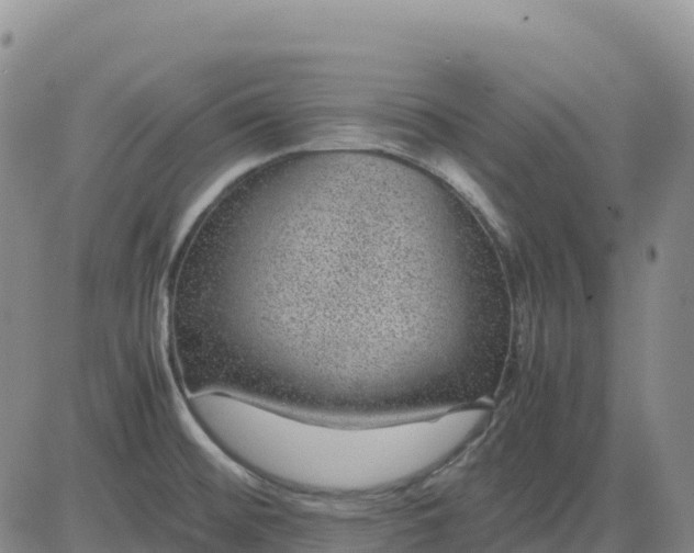 X0000083581476200702231642