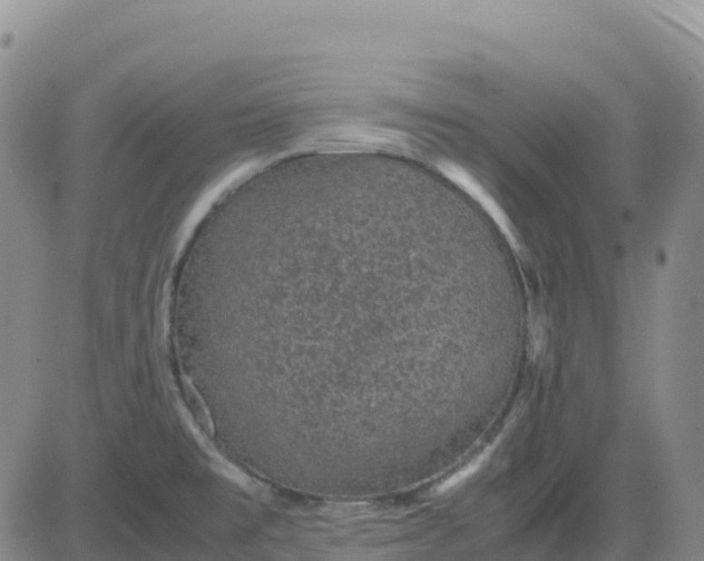 X0000083581477200702231642