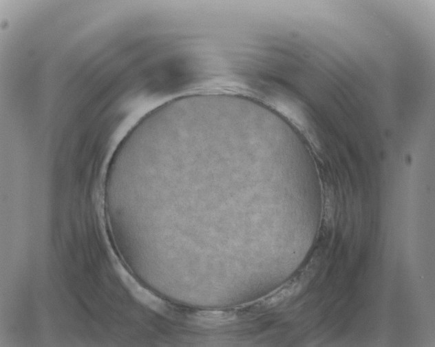 X0000083581478200702231642