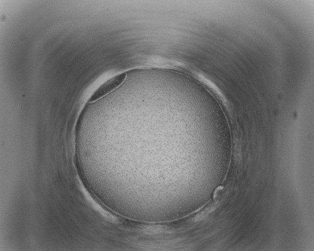 X0000083581479200702231642