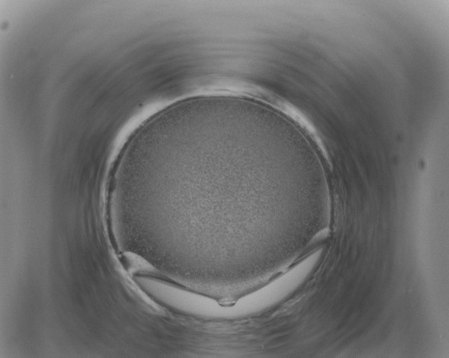 X0000083581480200702231642