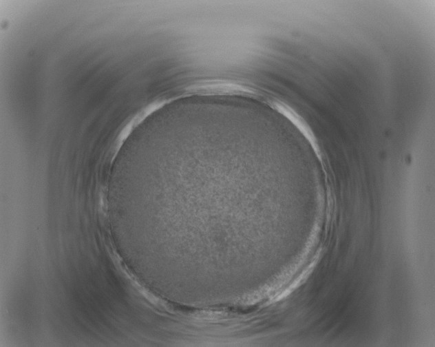 X0000083581481200702231642