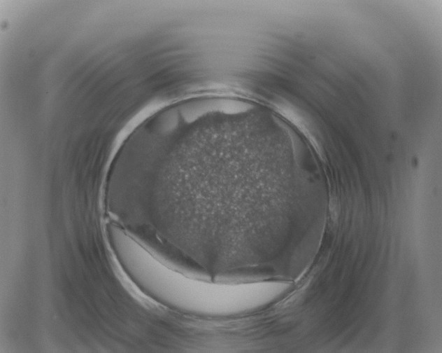 X0000083581482200702231642