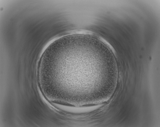 X0000083581483200702231642