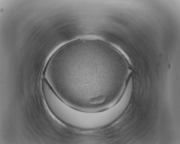 X0000083581484200702231642