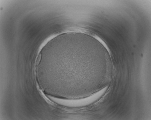 X0000083581485200702231642