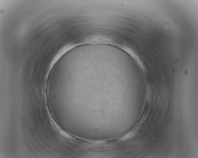 X0000083581486200702231642