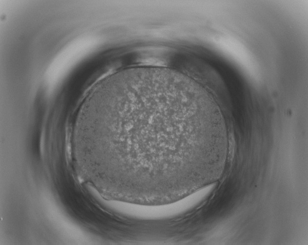 X0000083581487200702231642