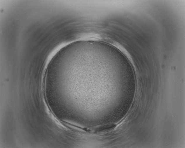 X0000083581488200702231642