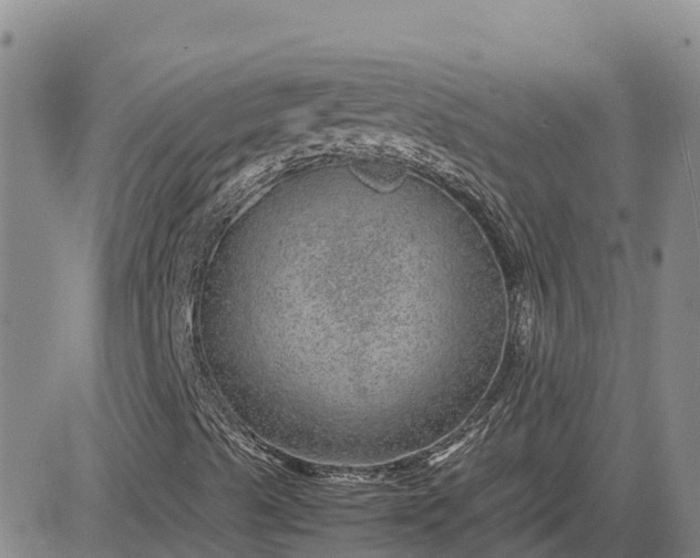 X0000083581489200702231641