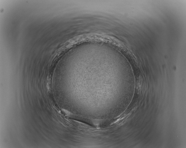 X0000083581490200702231641