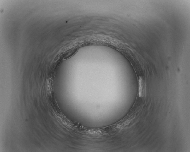 X0000083581491200702231642