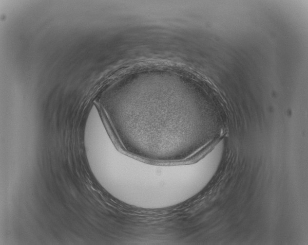 X0000083581492200702231642