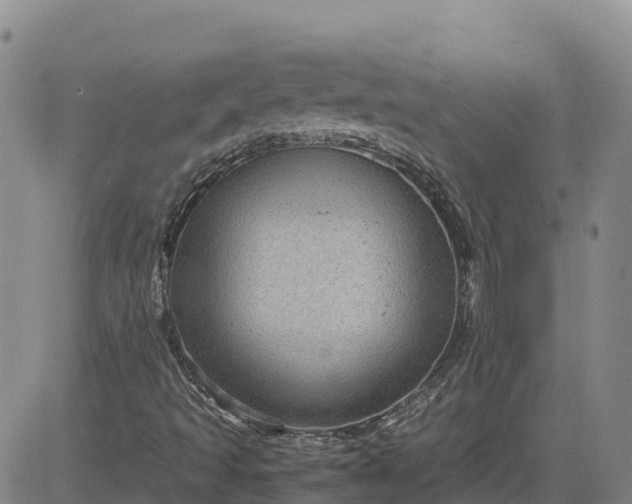 X0000083581493200702231642