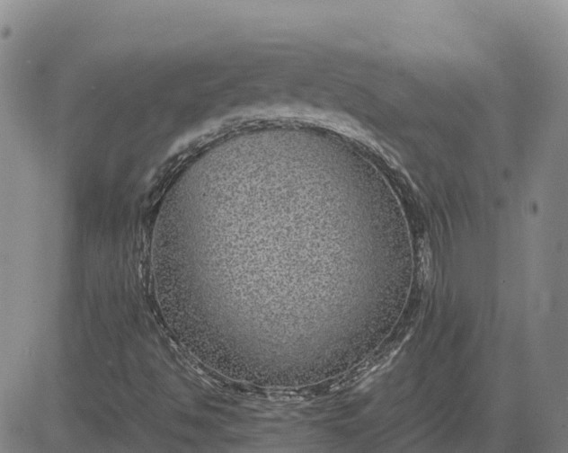 X0000083581494200702231642