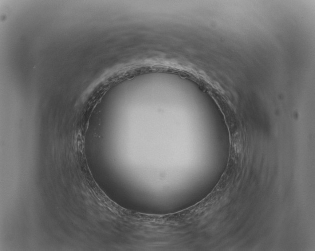 X0000083581495200702231642