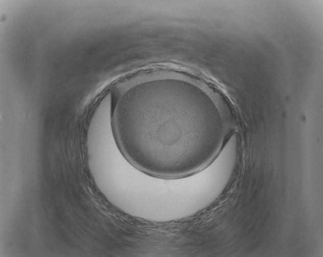 X0000083581496200702231642