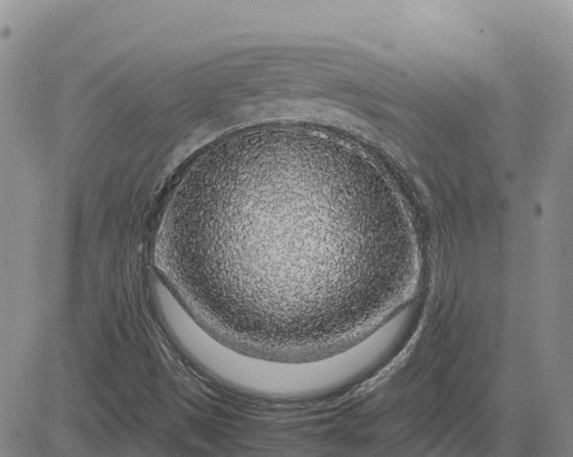 X0000083581497200702231642