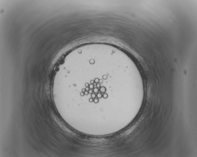 X0000083581498200702231642