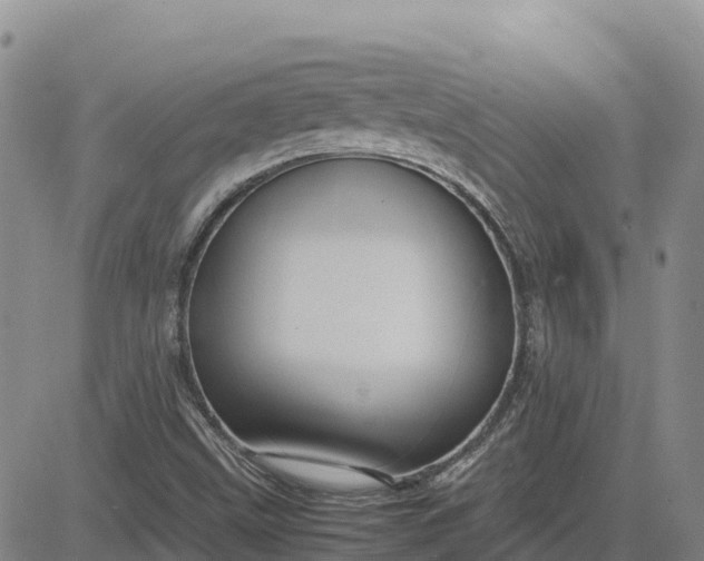 X0000083581499200702231642